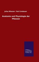 Anatomie Und Physiologie Der Pflanzen