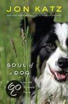 Soul Of A Dog