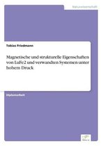 Magnetische und strukturelle Eigenschaften von LuFe2 und verwandten Systemen unter hohem Druck