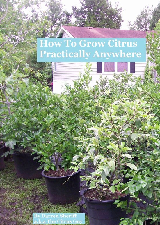 How To Grow Citrus Practically Anywhere - cover