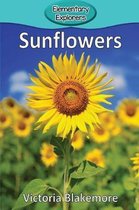 Elementary Explorers- Sunflowers