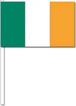 10 zwaaivlaggetjes Ierland 12 x 24 cm