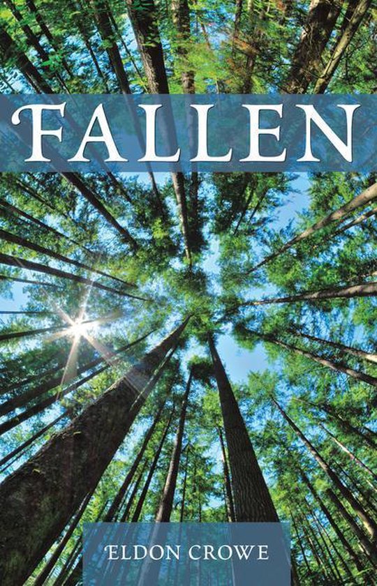 Fallen - cover