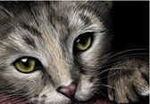 Diamond Painting Kit Cat's Eyes AZ-1184