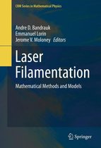 CRM Series in Mathematical Physics - Laser Filamentation