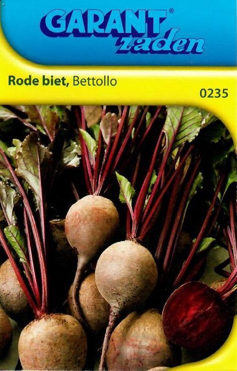 Rode Biet Bettollo