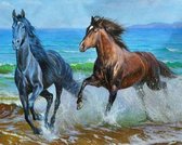 Diamond painting - Rennende paarden - 40x30cm