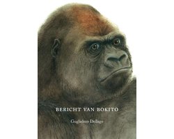 Bericht Van Bokito