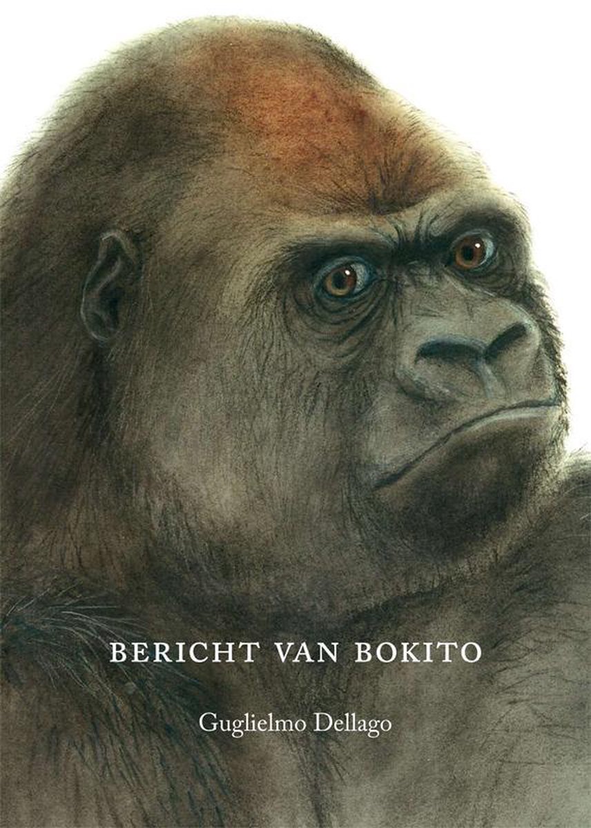 Bericht Van Bokito, Guglielmo Dellago 9789073299092 Boeken