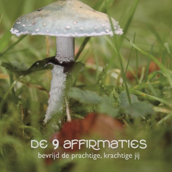De 9 Affirmaties - cover