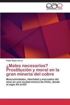 Males Necesarios? Prostitucion y Moral En La Gran Mineria del Cobre