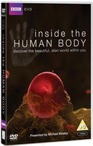 Inside the human body