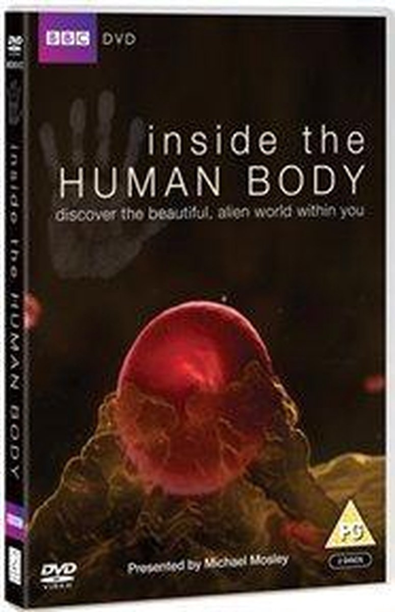 Inside the human body