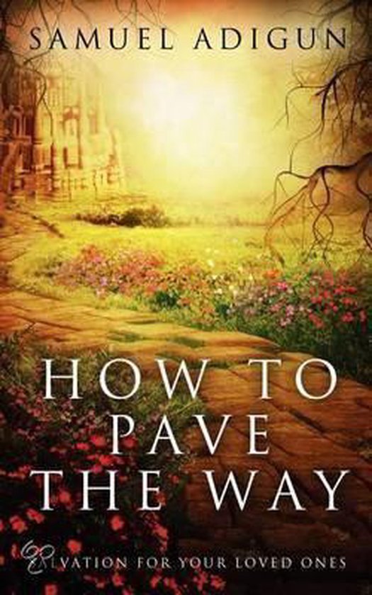 How to Pave the Way, Samuel Adigun 9781414120843 Boeken