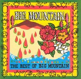 The Best Of Big Mountain