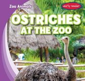Zoo Animals- Ostriches at the Zoo