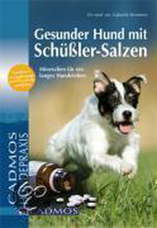 Gesunder Hund mit SchüßlerSalzen, Gabriele Steinmetz 9783861277651 Boeken bol
