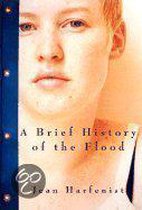 A Brief History of the Flood