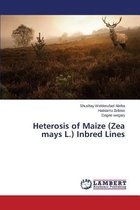 Heterosis of Maize (Zea Mays L.) Inbred Lines