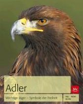 Adler