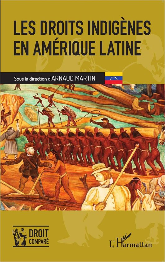Les droits indigènes en Amérique latine - cover