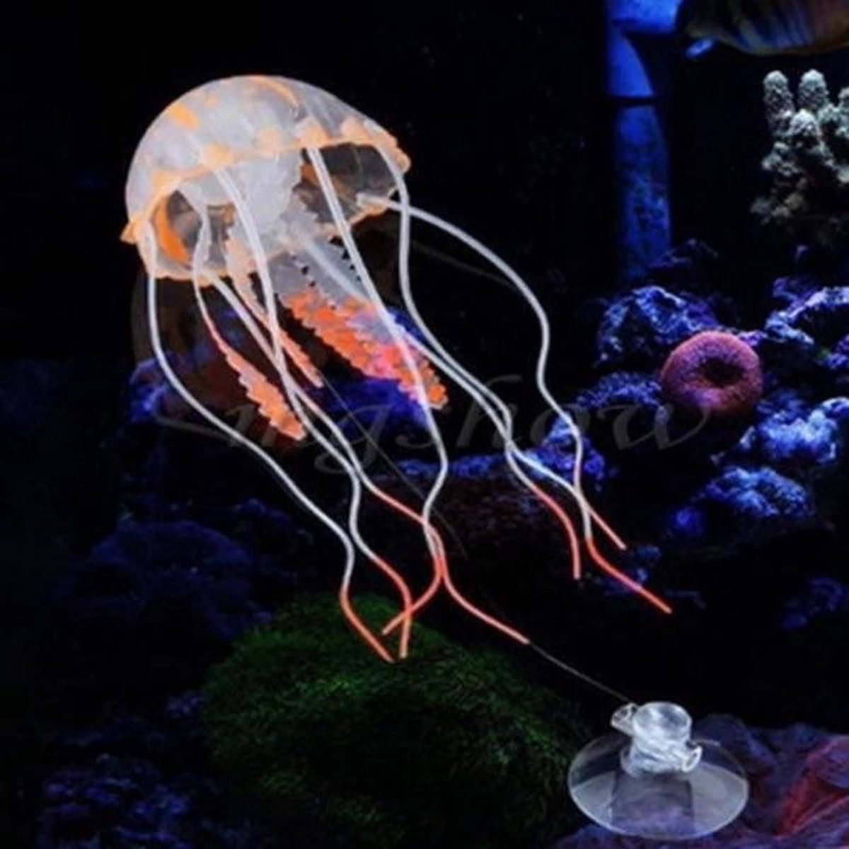 Décoration d'aquarium, méduse rougeoyante. Orange | bol.com — free download