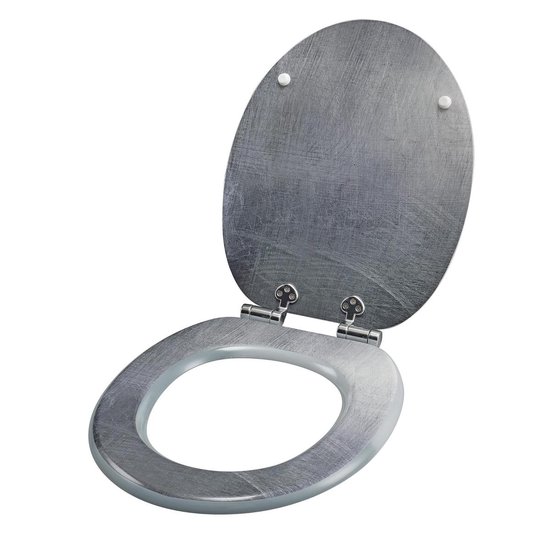 terugtrekken Macadam Categorie Softclose WC bril - toiletbril - toiletzitting - zilver look | bol.com