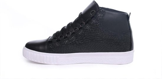 Hoge dames sneakers | Gratis verzending | SNEAKERS