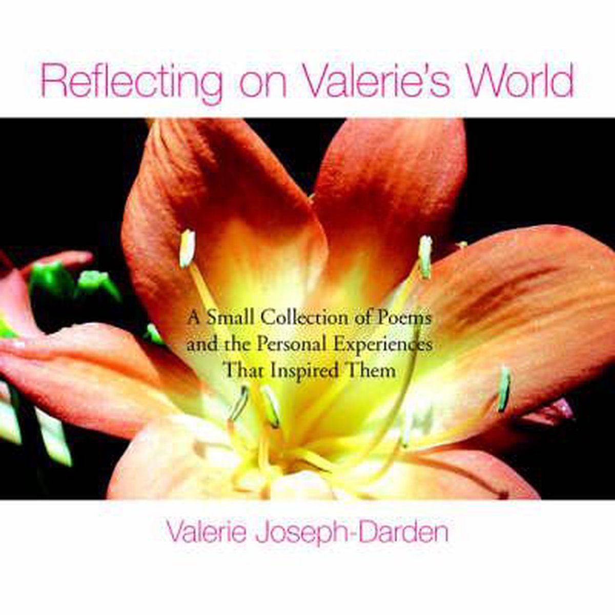 Reflecting on Valerie's World - Valerie Joseph-Darden