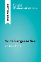BrightSummaries.com - Wide Sargasso Sea by Jean Rhys (Book Analysis)