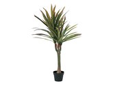 EUROPALMS Kunstplant voor binnen - Dracena - 120cm