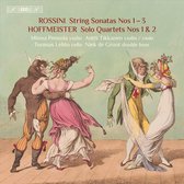 Minna Pensola, Antti Tikkanen, Tuomas Lehto, Niek De Groot - Quartets With Double Bass (Super Audio CD)