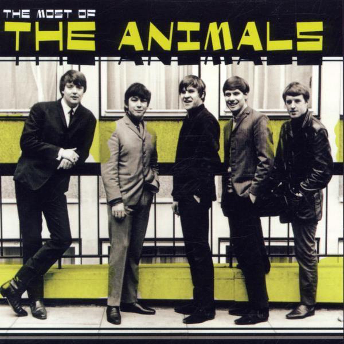 Most Of The Animals