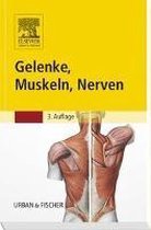 Gelenke, Muskeln, Nerven