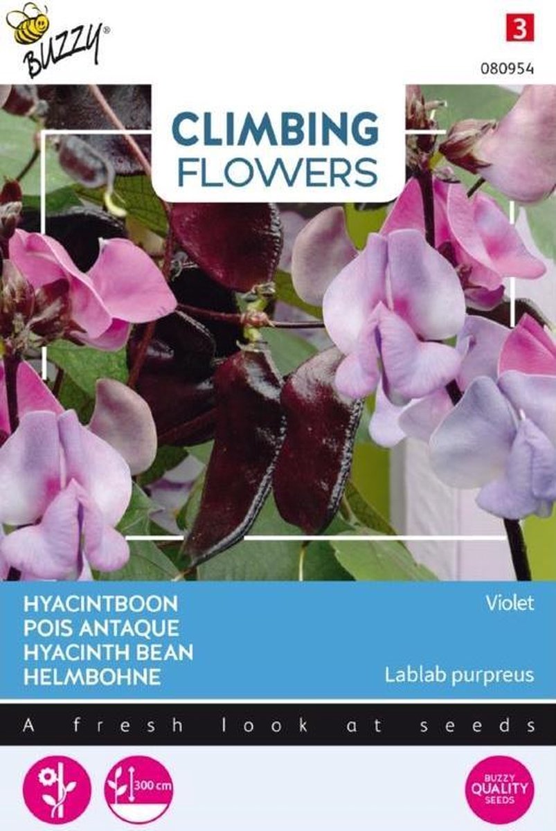 Buzzy® Climbing Flowers Hyacintboon (Lablab purpureus)