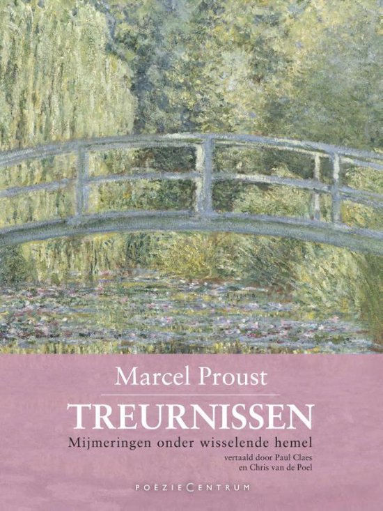 Cover van het boek 'Treurnissen'