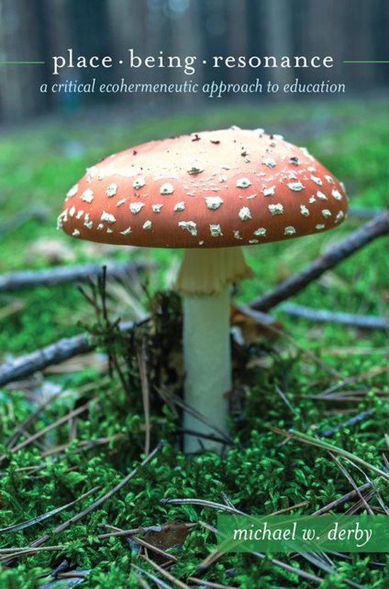 Critical Qualitative Research 18 - Place, Being, Resonance - cover