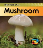 Life Cycle of a Mushroom