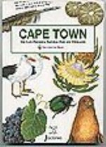 Discover the Magic - Cape Town