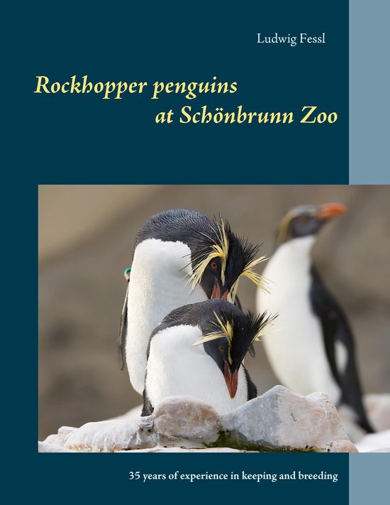 Rockhopper penguins at Schönbrunn Zoo - cover