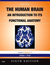 The Human Brain