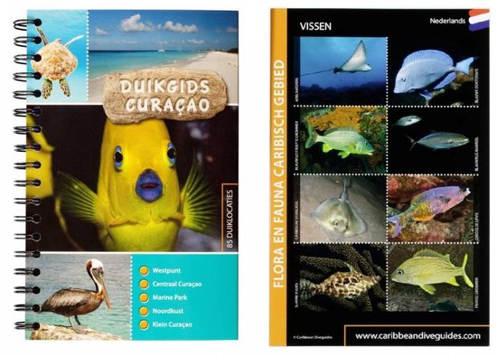 Duikgids Curaçao + fish id kaart - Marloes Otten | Tiliboo-afrobeat.com