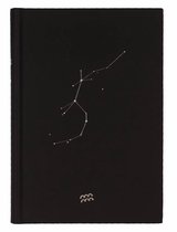 D6053-11 Dreamnotes notitieboek sterrenbeeld: waterman 19 x 13,5 cm