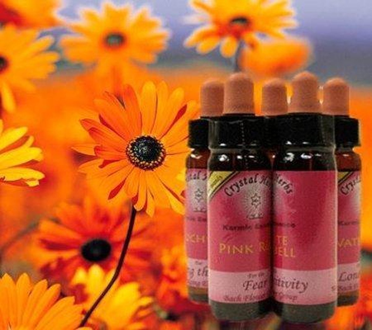 Goedkoopste Crystal Herbs Yellow Rattle, Karmic Flower Essence (10 ml