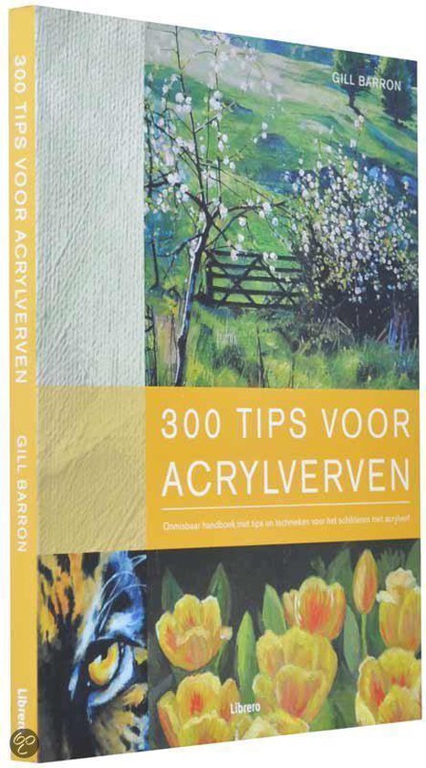 G. Baron - 300 tips voor acrylverven
