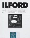 Ilford Multigrade IV RC Deluxe