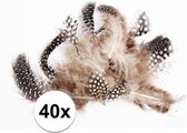 40x Décoration en plumes de duvet