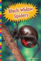 Poisonous Animals- Black Widow Spiders