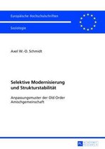 Selektive Modernisierung und Strukturstabilität