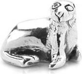 SimKids - Zilveren Kinderbedel - Zeehond
